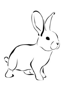 colorear conejo