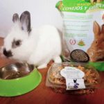 Tienda online de articulos de conejos y para conejos